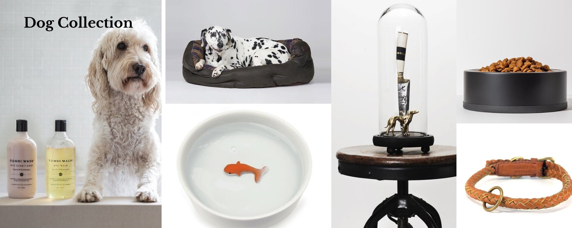 Dog Collection - Henry Bucks