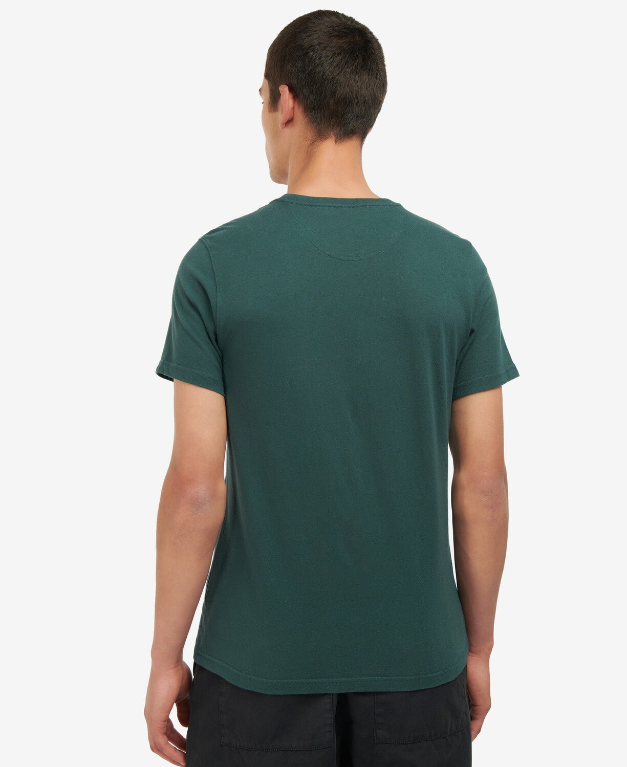 BARBOUR Allensford T - Shirt GREEN - Henry BucksT - Shirts38AW230082 - GREN - SM