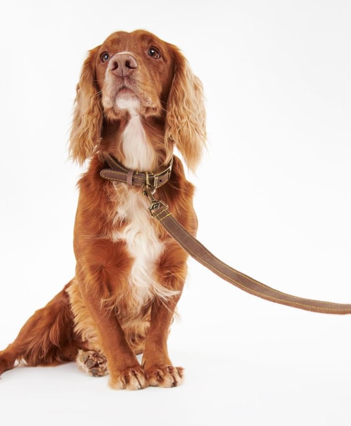 BARBOUR Leather Dog Lead BROWN - Henry BucksFASHION ACCESSORIES52DAC2102 - BROWN - OSFM