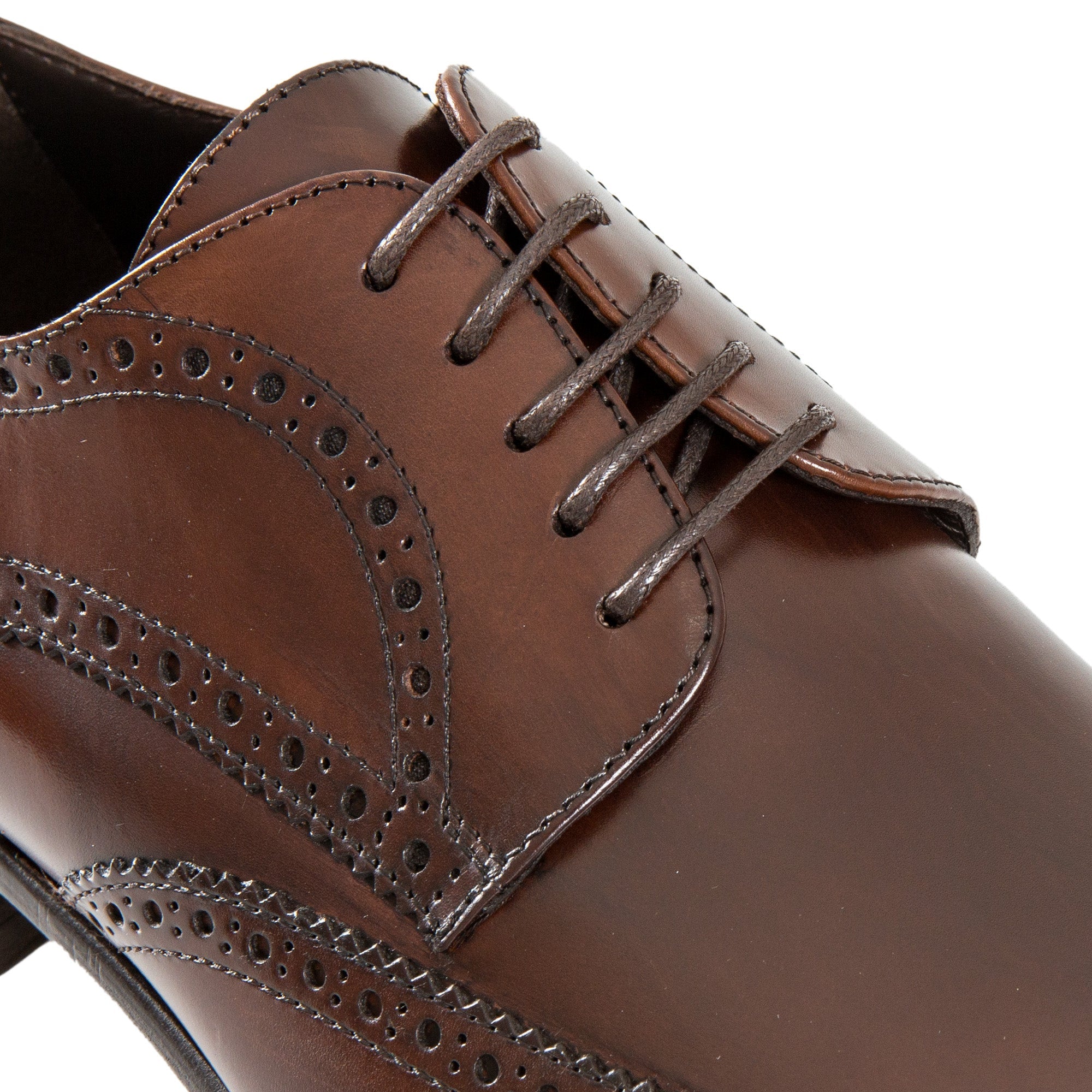 HENRY SARTORIAL Brogue Derby BROWN - Henry BucksFormal Shoes8000418 - BROWN - 7