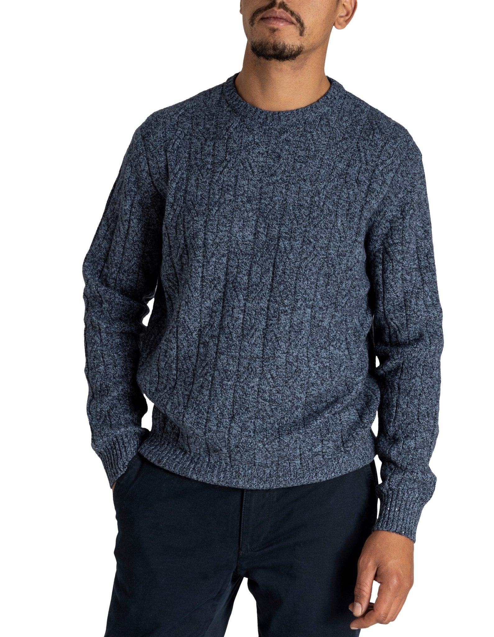 HENRY SARTORIAL Crew Neck Cable Knit BLUE - Henry BucksKnitwear46AW210069 - BLUE - SM