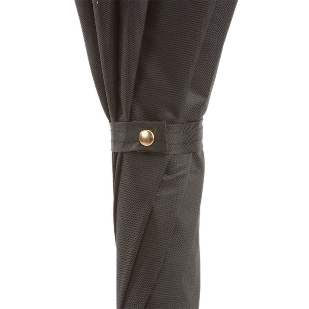 Pasotti French Bulldog - Henry Bucks