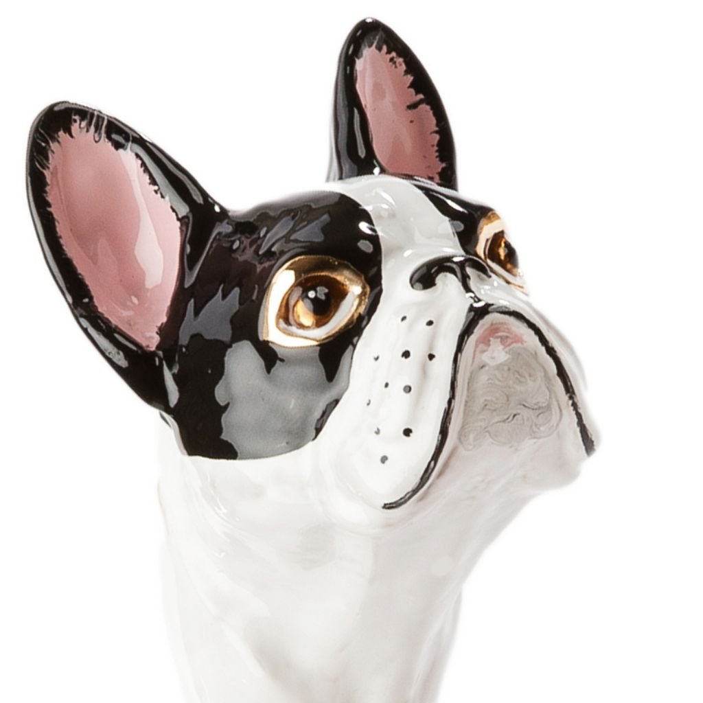 Pasotti French Bulldog - Henry Bucks