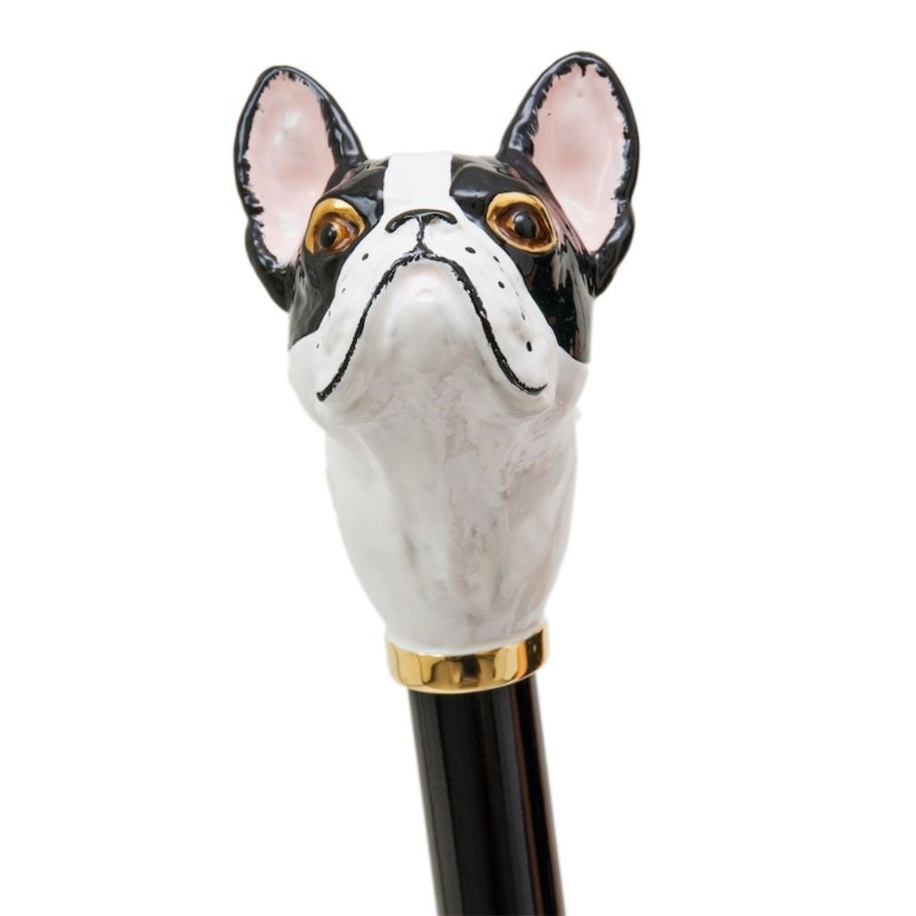 Pasotti French Bulldog - Henry Bucks