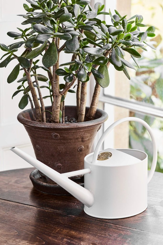 SOPHIE CONRAN Mini Indoor Watering Can 1.7L - Henry Bucks